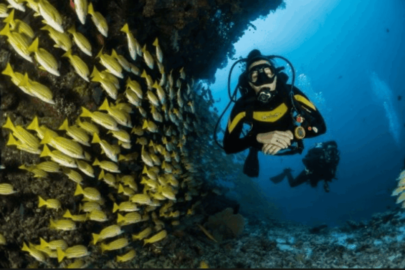 La Paz: Whale Island Dive Site - Post-Dive Relaxation
