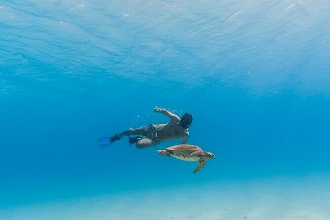 La Paz World Class Snorkeling in Balandras Hidden Beaches - FAQs