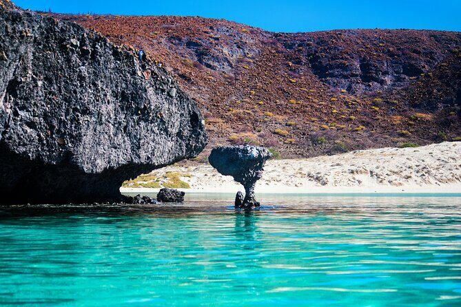 La Paz World Class Snorkeling in Balandras Hidden Beaches - Additional Information