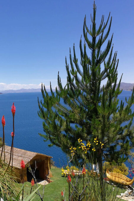 La Paz:Lake Titicaca and Sun+Moon Island Private Trip 2 Days - Frequently Asked Questions