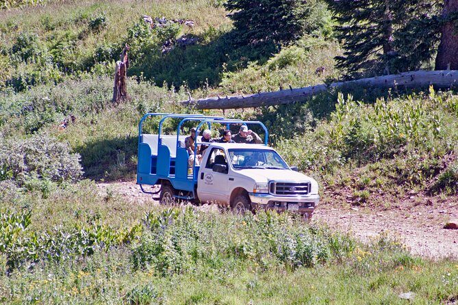 La Plata Mountains - Half Day Tour - FAQs