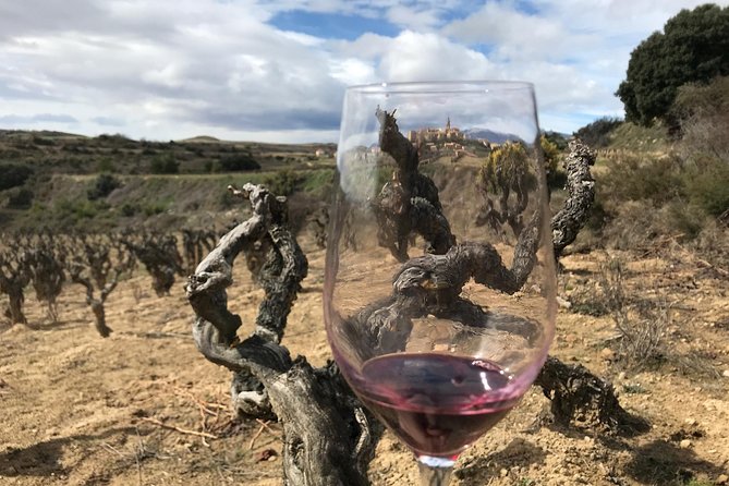 La Rioja Boutique Wine Tour - 2 Wineries & Picnic Lunch (From Bilbao) - Visits to Top-rated Wineries
