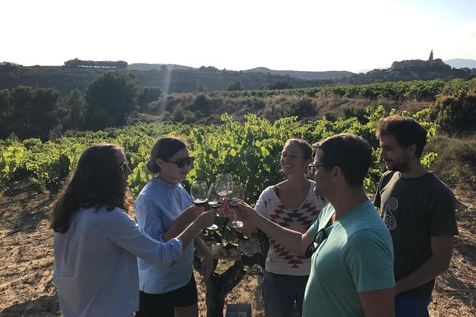 La Rioja Boutique Wine Tour - 2 Wineries & Picnic Lunch (From Bilbao) - Medieval Fortified City of Laguardia