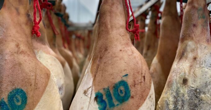 La Rioja: Iberian Ham Farm Tour and Tasting With Wine - Spanish Horses in Freedom