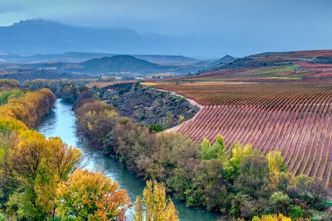 La Rioja Private Tour to 3 Wineries From San Sebastian - Departure and Duration