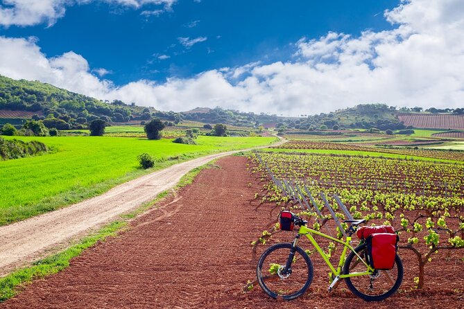 La Rioja Private Tour to 3 Wineries From San Sebastian - Group Size Considerations