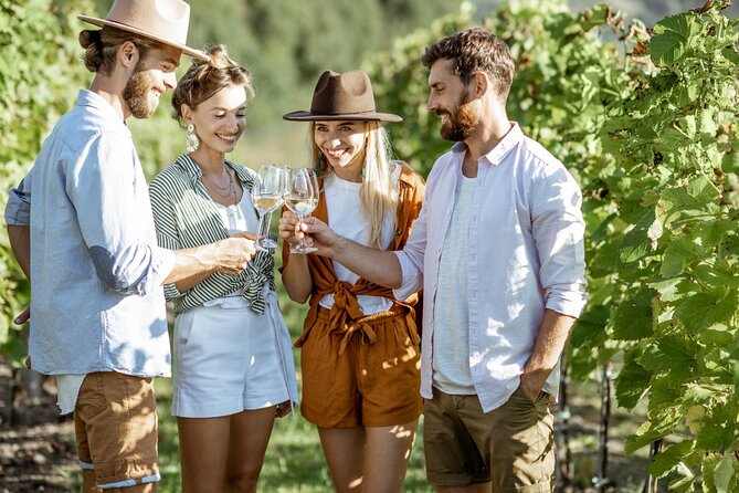 La Rioja Private Tour to 3 Wineries From San Sebastian - Booking and Availability