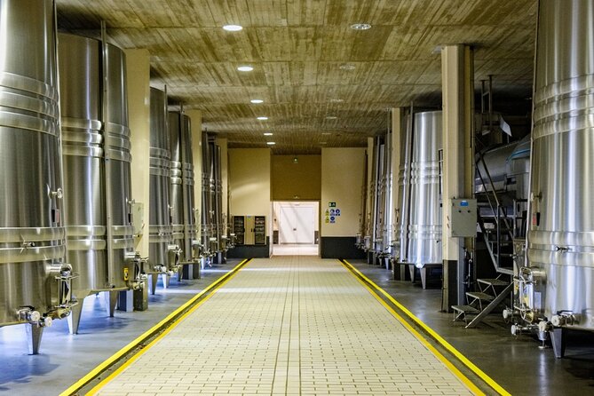 La Rioja Private Tour to 3 Wineries From San Sebastian - Traveler Assistance