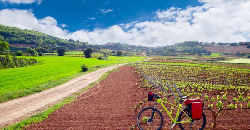 La Rioja: Private Tour to 3 Wineries With Tastings - Exploring Historic Cellars