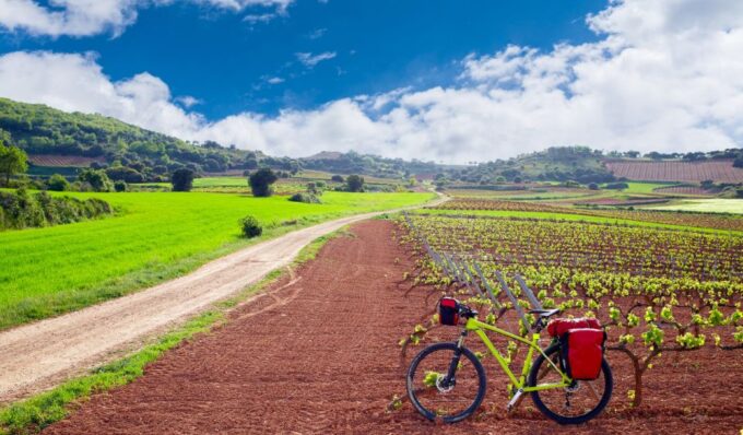 La Rioja: Private Tour to 3 Wineries With Tastings - Private Transportation