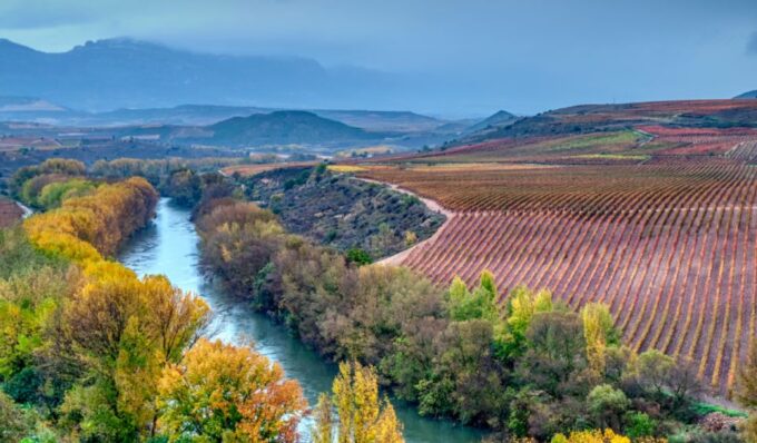 La Rioja: Private Tour to 3 Wineries With Tastings - Booking and Availability