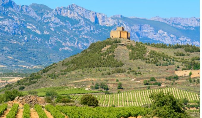 La Rioja: Private Tour to 3 Wineries With Tastings - Frequently Asked Questions