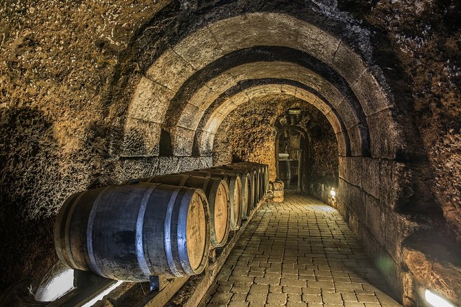 La Rioja Private Winery Visit With Wine Tasting and Lunch - Flexible Pace and Itinerary