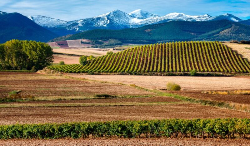 La Rioja Vineyards Private Tour From Bilbao (3 Vineyards) - Meeting Point and Transportation