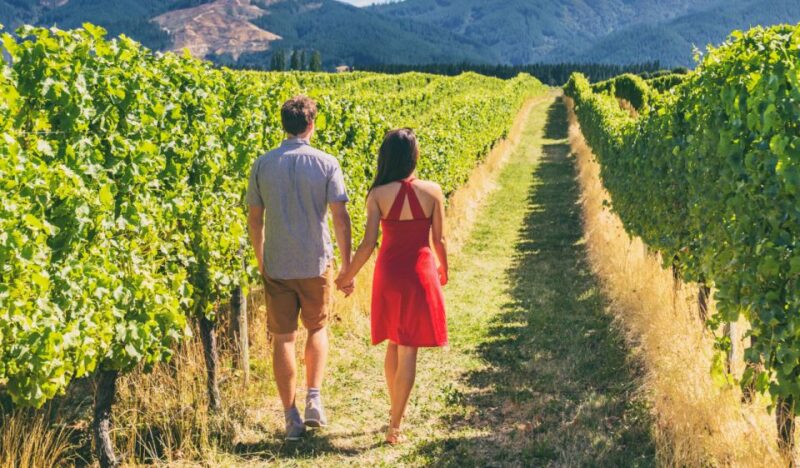 La Rioja Vineyards Private Tour From Bilbao (3 Vineyards) - Scenic Drive From Bilbao