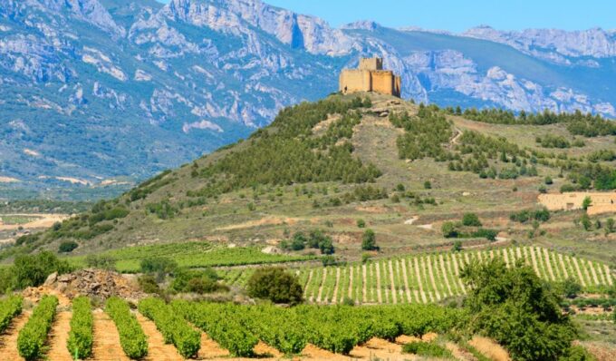 La Rioja Vineyards Private Tour From Bilbao (3 Vineyards) - Diverse La Rioja Wineries