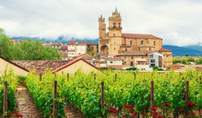 La Rioja Vineyards Private Tour From Bilbao (3 Vineyards) - Exclusive Wine Tastings