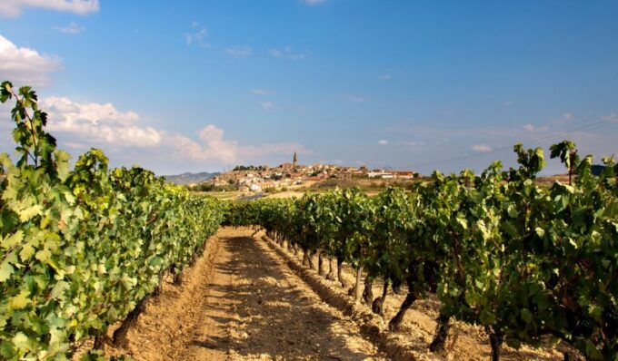 La Rioja Vineyards Private Tour From Bilbao (3 Vineyards) - Reservation and Payment Policy