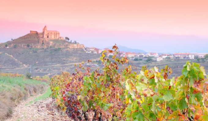 La Rioja Vineyards Private Tour From Bilbao (3 Vineyards) - Frequently Asked Questions