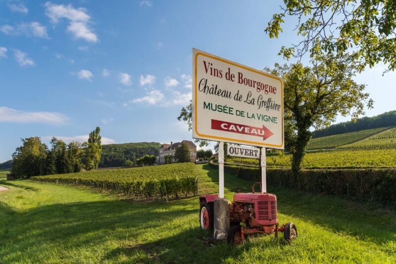La Roche Vineuse: Visit to the Vine and Wine Museum - Booking Information