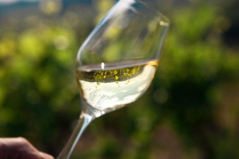 La Roche Vineuse: Visit to the Vine and Wine Museum - Estate History and Features