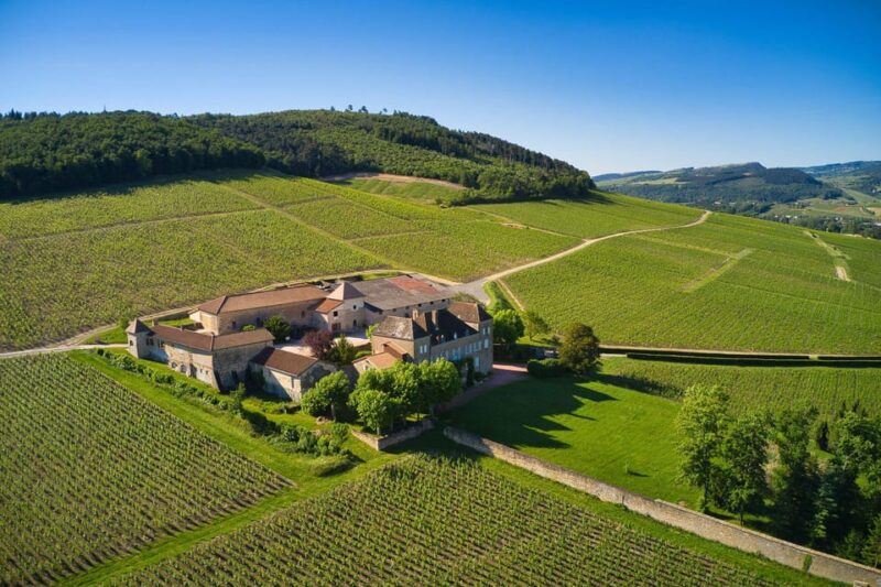 La Roche Vineuse: Visit to the Vine and Wine Museum - Wine Offerings