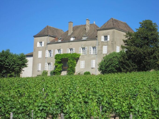 La Roche Vineuse: Visit to the Vine and Wine Museum - Accessibility and Language Options