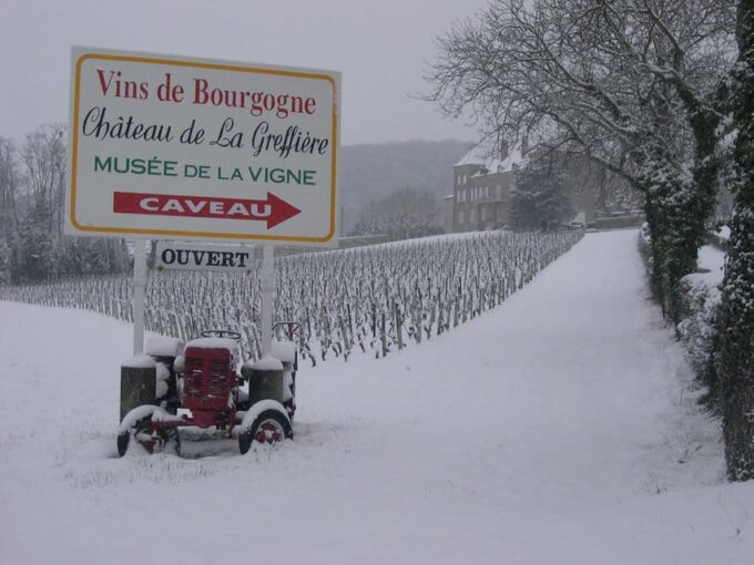 La Roche Vineuse: Visit to the Vine and Wine Museum - Refund and Reservation Policy