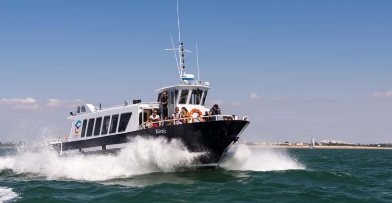 La Rochelle and Its 3 Ports (1h45) - Experience Highlights