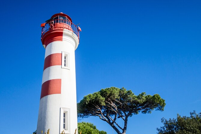 La Rochelle: Gems of the Port Quest Experience - Operating Hours and Availability