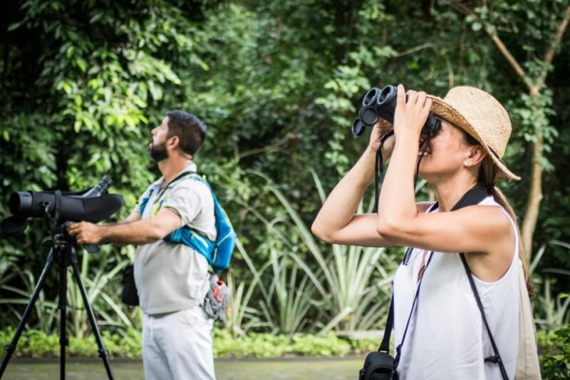 La Romana: Bird Watching From Casa De Campo - Bird Watching Experience