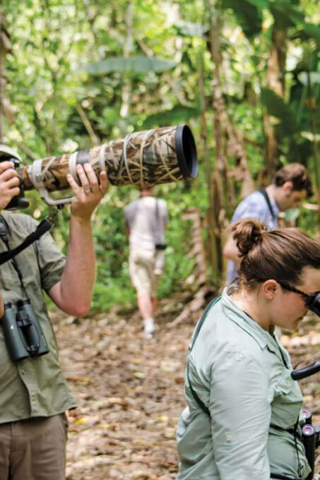 La Romana: Bird Watching From Casa De Campo - Endemic Bird Species Highlights