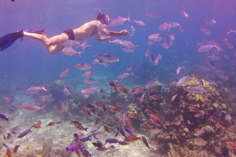 La Romana: Catalina Island Full-Day Snorkeling Tour - A Detailed Look at the Experience
