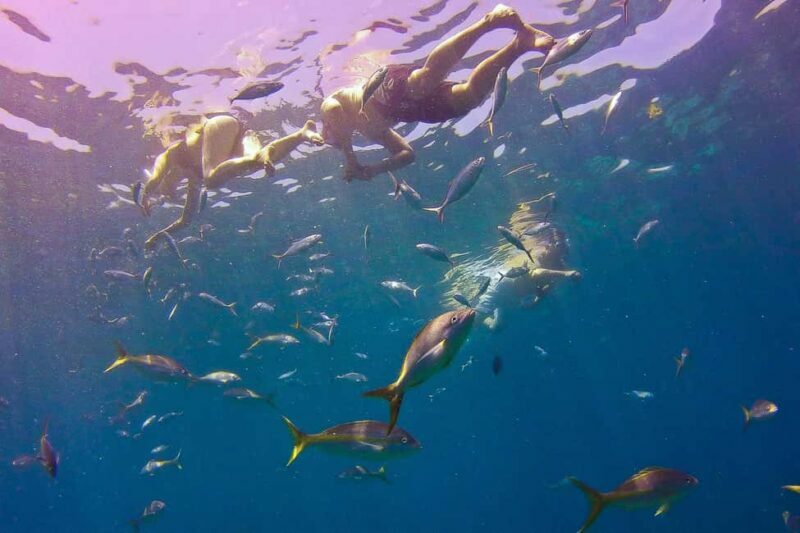 La Romana: Catalina Island Full-Day Snorkeling Tour - FAQs
