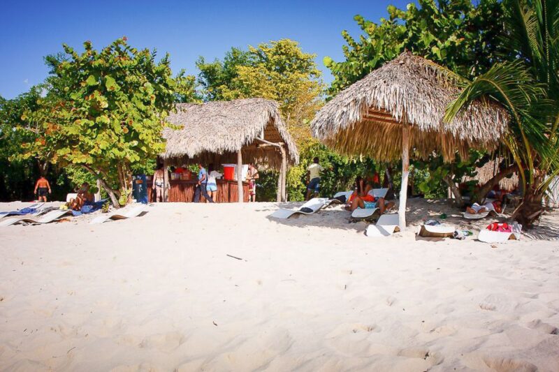 La Romana: Catalina Island Full-Day Snorkeling Tour - Itinerary