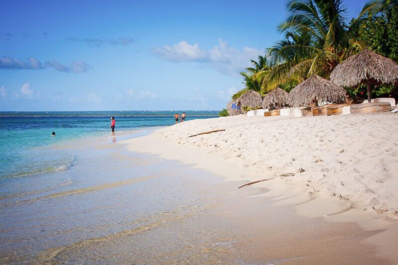La Romana: Catalina Island Full-Day Snorkeling Tour - Inclusions