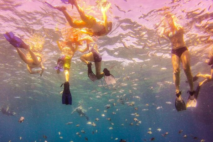 La Romana: Catalina Island Full-Day Snorkeling Tour - Customer Reviews