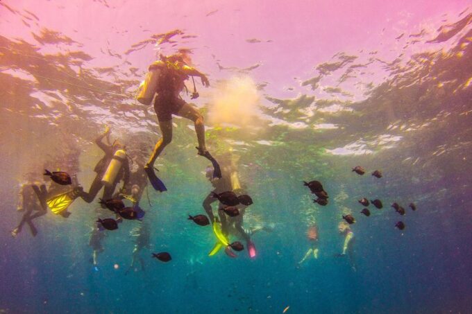La Romana: Catalina Island Full-Day Snorkeling Tour - Frequently Asked Questions