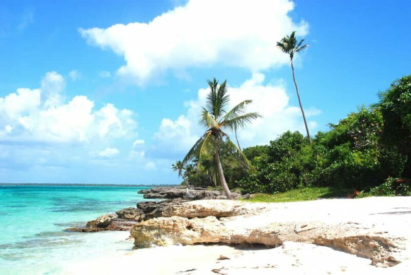 La Romana: Saona Crusoe VIP for cruise guests - Canto de la Playa: Nature and Snorkeling