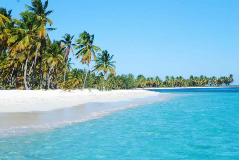 La Romana: Saona Crusoe VIP for cruise guests - Return Journey