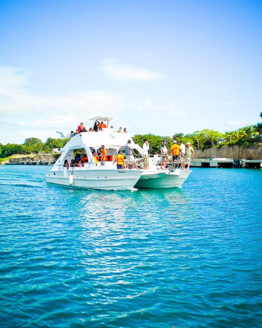 La Romana: Scuba Diving in Catalina Island - Diving Experience