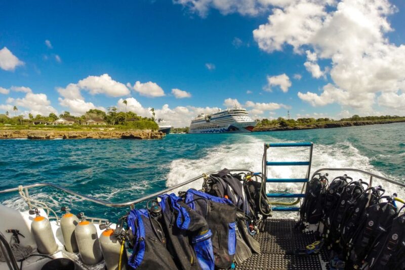 La Romana: Scuba Diving in Catalina Island - Customer Feedback