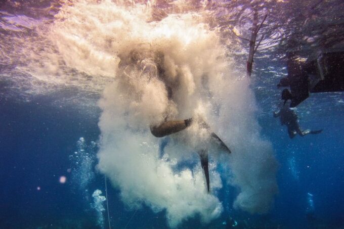La Romana: Scuba Diving in Catalina Island - Frequently Asked Questions