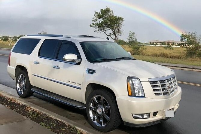 La Romana to Punta Cana Airport (PUJ) - Departure Private Transfer - Overview of the Service