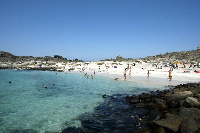 La Serena: Full Day to Damas Island & Humboldt Penguin National Reserve - Key Points