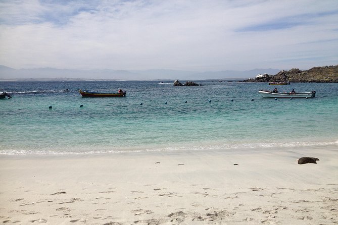 La Serena: Full Day to Damas Island & Humboldt Penguin National Reserve - Additional Information