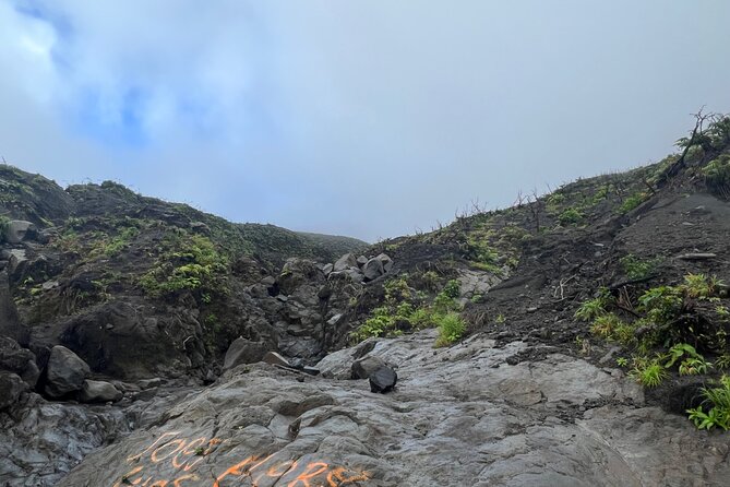 La Soufriere Volcano Hike - Highlights of the Tour