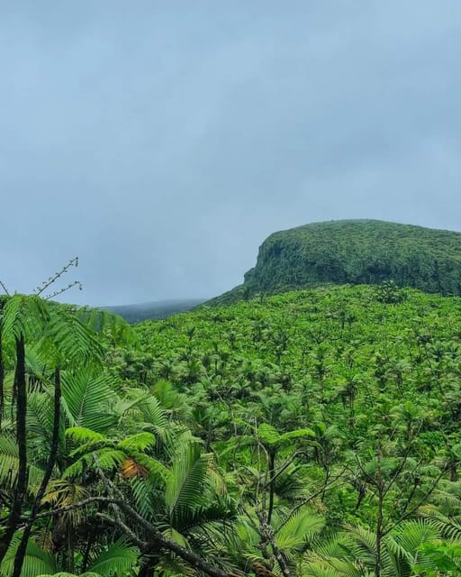 La Soufriere Volcano Hike in St Vincent - Amenities and Facilities