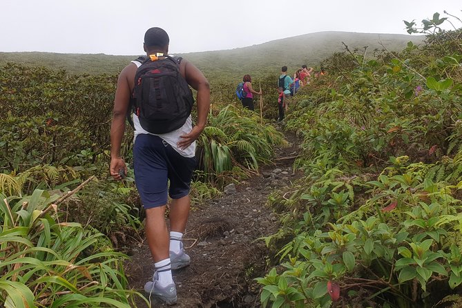 La Soufriere Volcano Hike With Topdawg Taxi and Tours - Breathtaking Volcanic Scenery