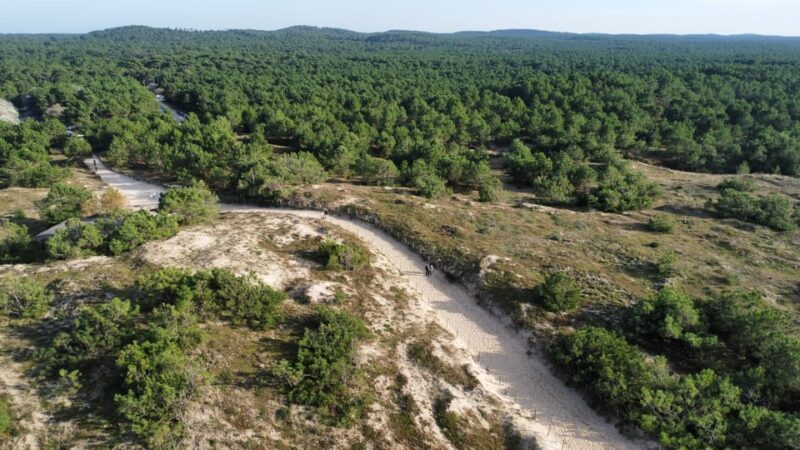 La Tremblade: Hiking in the Forêt Domaniale De La Coubre - Key Points